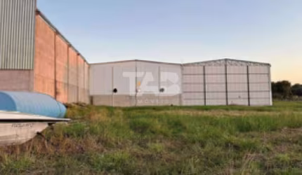 Terreno com 1.000m² à Venda - Tijucas
