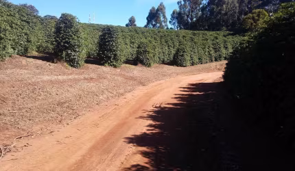 Fazenda / Sítios / Chácaras com 3 quartos à venda em Lambari