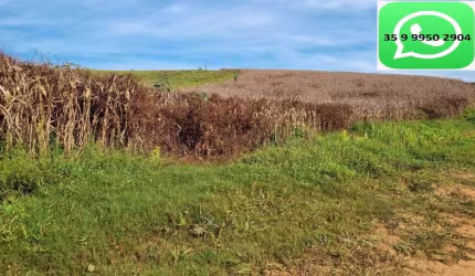 Fazenda / Sítios / Chácaras com 1 quarto à venda em São Sebastião Da Bela Vista