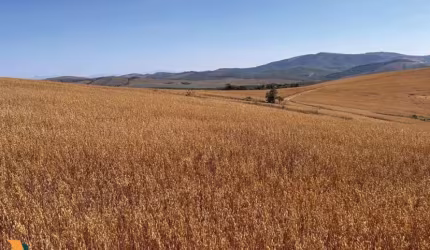 Fazenda / Sítios / Chácaras à venda em Andrelândia
