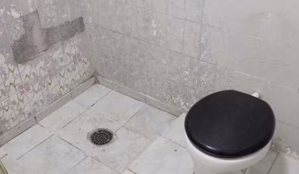 Sala / Conjunto com 2 quartos para alugar em São Paulo