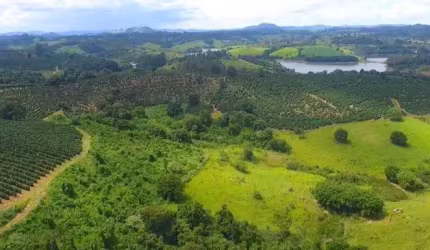 Fazenda / Sítios / Chácaras à venda em Poços De Caldas