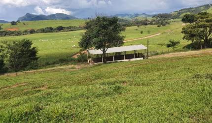 Fazenda / Sítios / Chácaras com 3 quartos à venda em Itajubá