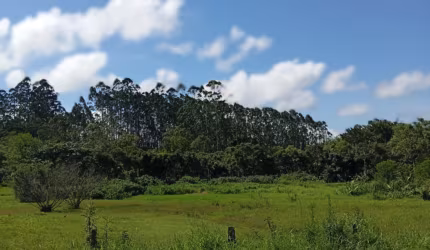 TERRENO NA ÁREA RURAL DOS MACACOS EM CAMBORIÚ