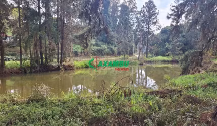 Sítio à venda em Jundiaí-SP: 7 quartos, 5 salas, 4 banheiros, 6 vagas de garagem, 19.826m² , Bairro Caxambu