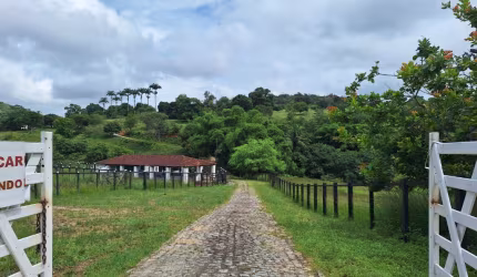 LINDA PROPRIEDADE  EM GLÓRIA DO GOITA