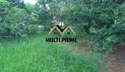 Chacara Próximo à Franca com 10.000 mts à Venda MULTI PRIME IMÓVEIS