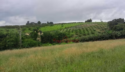 OPORTUNIDADE- Área à venda, 3 Alqueires  por R$ 1.300.000 - Ouro Fino - Santa Isabel/São Paulo