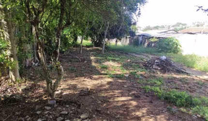 Terreno no Partenon com 494m² plano