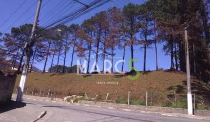 Terreno em condomínio fechado à venda na Estrada de São Bento, Jardim Odete, Itaquaquecetuba, 8163 m2 por R$ 8.221.000