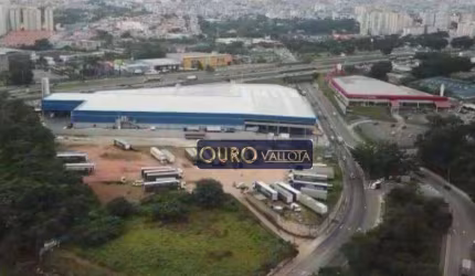 Área com 20.000m² - AR 230102D