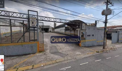 Terreno bem localizado com 4200m² - TE 230413V