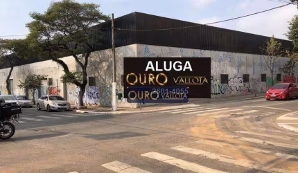 Terreno para alugar, 2970 m² por R$ 162.419,70/mês - Cambuci - São Paulo/SP