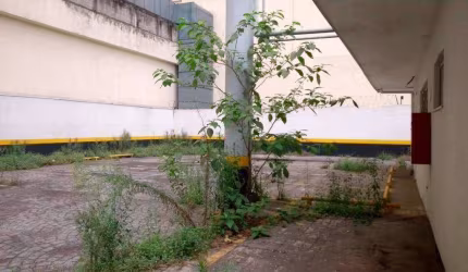 Casa com 1 dormitório para alugar, 322 m² por R$ 30.000,00/mês - Parque da Mooca - São Paulo/SP