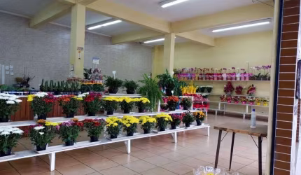 Salão com 330m² - SL 210802M
