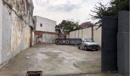 Terreno à venda, 290 m² por R$ 1.200.000,00 - Vila Lúcia - São Paulo/SP