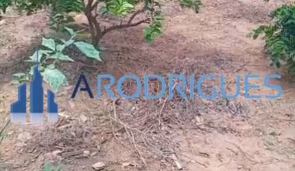 Terreno Comercial de 5.850m² à Venda em Periperi, Salvador-BA: Oportunidade Única!