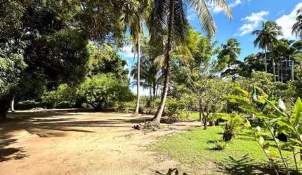 Sítio / Chácara para Venda em Camaçari, Monte Gordo (Monte Gordo), 10 vagas