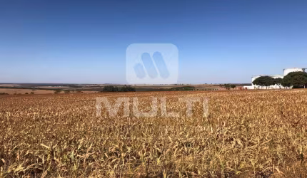 Terreno comercial para alugar no Jardim Canaã, Uberlândia  por R$ 80.000