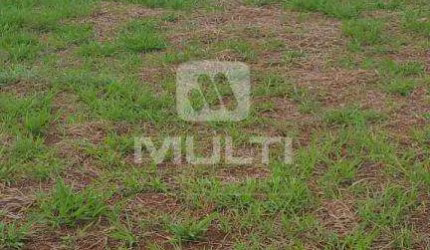 Terreno comercial à venda no Grand Ville, Uberlândia  por R$ 310.000