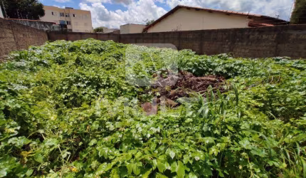 Terreno comercial à venda em Saraiva, Uberlândia  por R$ 650.000
