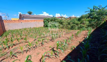 Terreno comercial à venda no Marta Helena, Uberlândia  por R$ 350.000