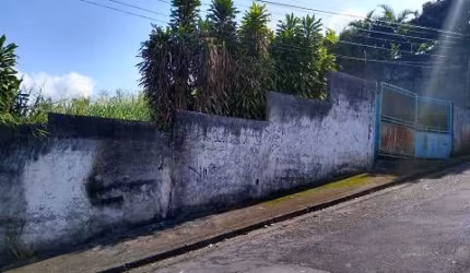Lote/Terreno para venda tem 1000 m² em Vila Oliveira - Mogi das Cruzes - SP