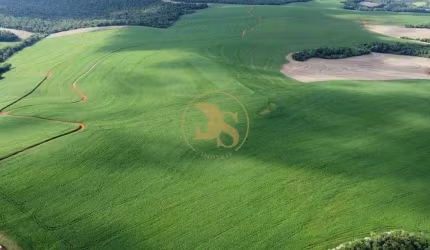 Fazenda com 690 alqueires em Campo Bonito PR
