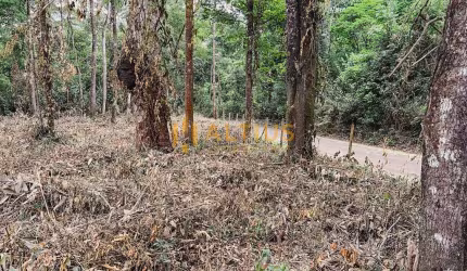 LOTE COMERCIAL PALHANO