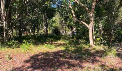 Terreno para Venda em Mata de São João, Açu da torre