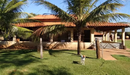 Fazenda Vargem Grande para Venda no Município de Santa Branca