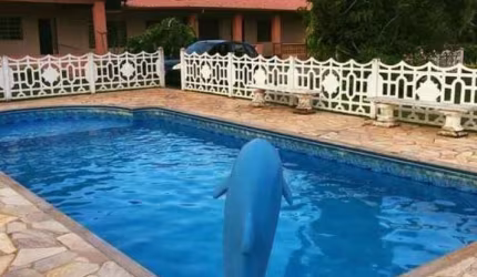 Chácara para Venda em Boituva, Jardim Flamboyant III, 4 dormitórios, 2 suítes, 5 banheiros, 4 vagas