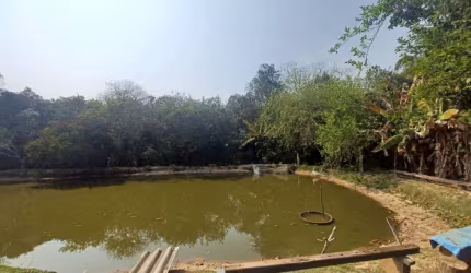 Chácara com Lago