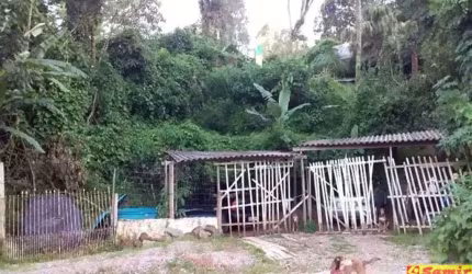 SITIO - CHACARA VENDA MANTIQUEIRA,  2438m²