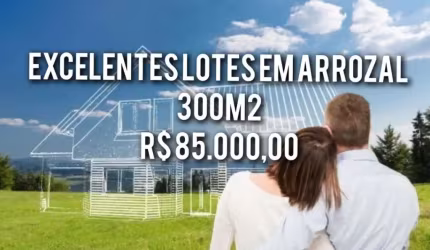 LOTES EM ARROZAL