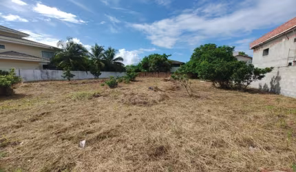 TERRENO BUSCA VIDA