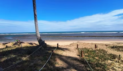 APARTAMENTO PRAIA DO FORTE