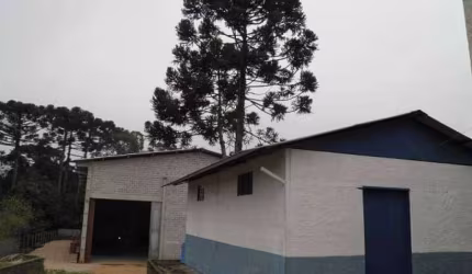 Barracão / Galpão / Depósito à venda na Rua Francisco Dal'Negro, 4266, Colônia Rio Grande, São José dos Pinhais por R$ 7.000.000