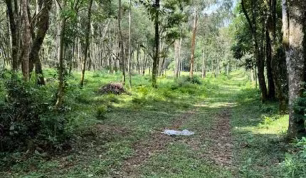 Terreno à venda na Rodovia BR-376, Contenda, São José dos Pinhais por R$ 1.600.000