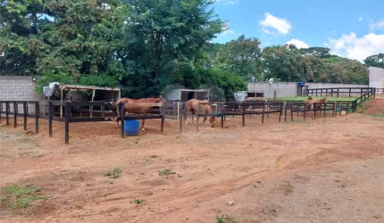 Terreno à venda em Parque Das Bandeiras 2 - SP