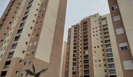 Apartamento com 3 quartos à venda em Bairro Pau Preto - SP
