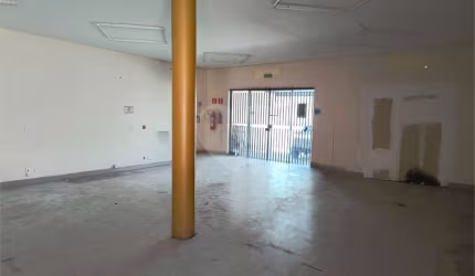 Salão Comercial para locação em Cidade Nova I - SP