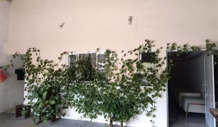 Casa com 2 quartos à venda em Jardim Dos Colibris - SP