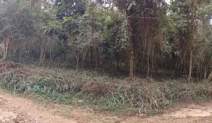 Terreno para Venda em Nova Friburgo, CAMPO DO COELHO