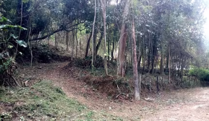 Terreno para Venda em Nova Friburgo, PARQUE SÃO CLEMENTE