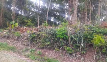 Terreno para Venda em Nova Friburgo, CENTRO