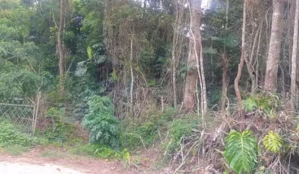 Terreno para Venda em Nova Friburgo, CENTRO