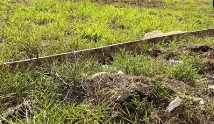 Terreno misto de 1.762 m² para alugar no Jardim Botânico, Zona Sul de Ribeirão Preto