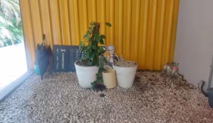 Prédio Comercial de Alto Padrão na Vila Monumento, São Paulo-SP: Ideal para seu Negócio!