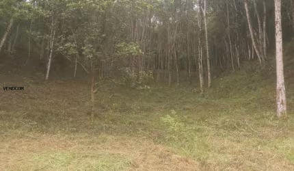 Terreno para Venda em Juquitiba, EVA